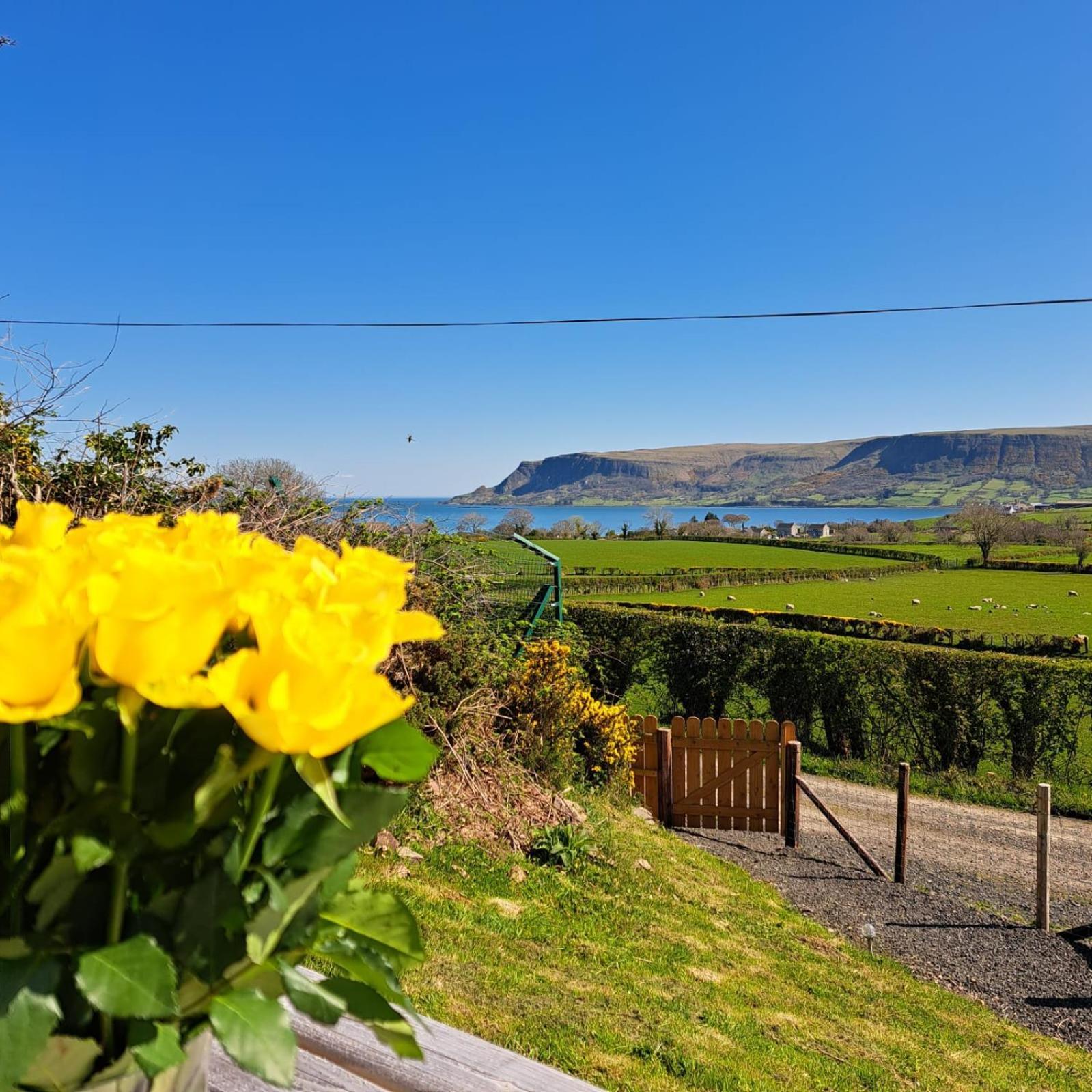Glens Glamping Villa Cushendall Exterior photo